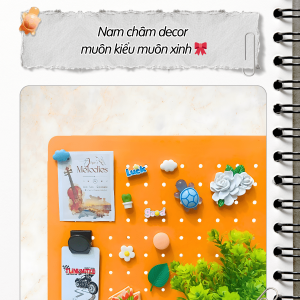 Combo Nam châm Dola Home