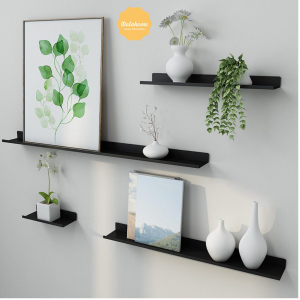 Kệ treo tường sắt sơn tĩnh điện cao cấp Dola Home