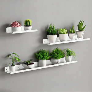 Kệ treo tường sắt sơn tĩnh điện cao cấp Dola Home