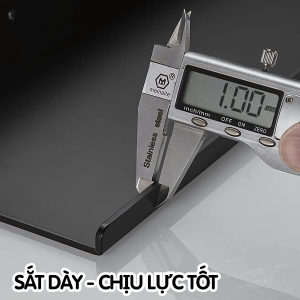 Kệ treo tường sắt sơn tĩnh điện cao cấp Dola Home