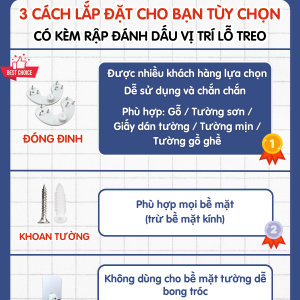 Bảng lỗ Pegboard kẹp bàn Dola Home