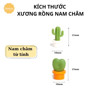 Nam châm xương rồng Dola Home