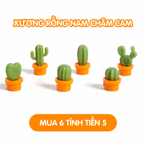 Nam châm xương rồng Dola Home