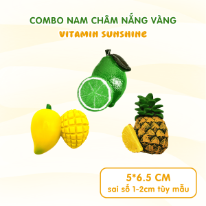 Bộ trái cây nam châm Dola Home
