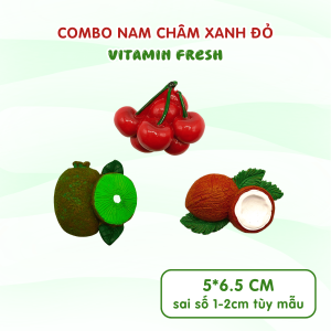 Bộ trái cây nam châm Dola Home