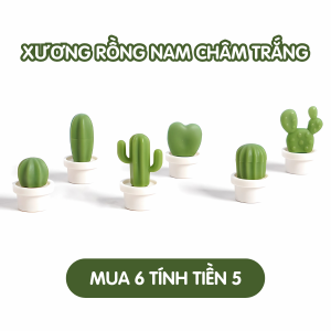 Nam châm xương rồng Dola Home