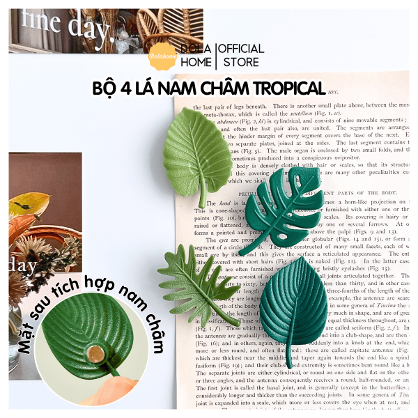 Lá nam châm Tropical Dola Home