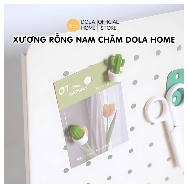 Nam châm xương rồng Dola Home